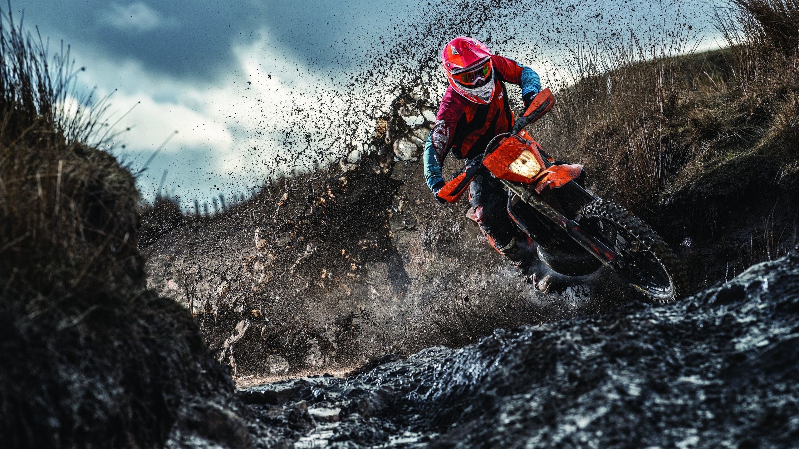 三狮绝境咆哮，世界排名争夺战焦点战，英格兰惊天逆转新西兰启示录