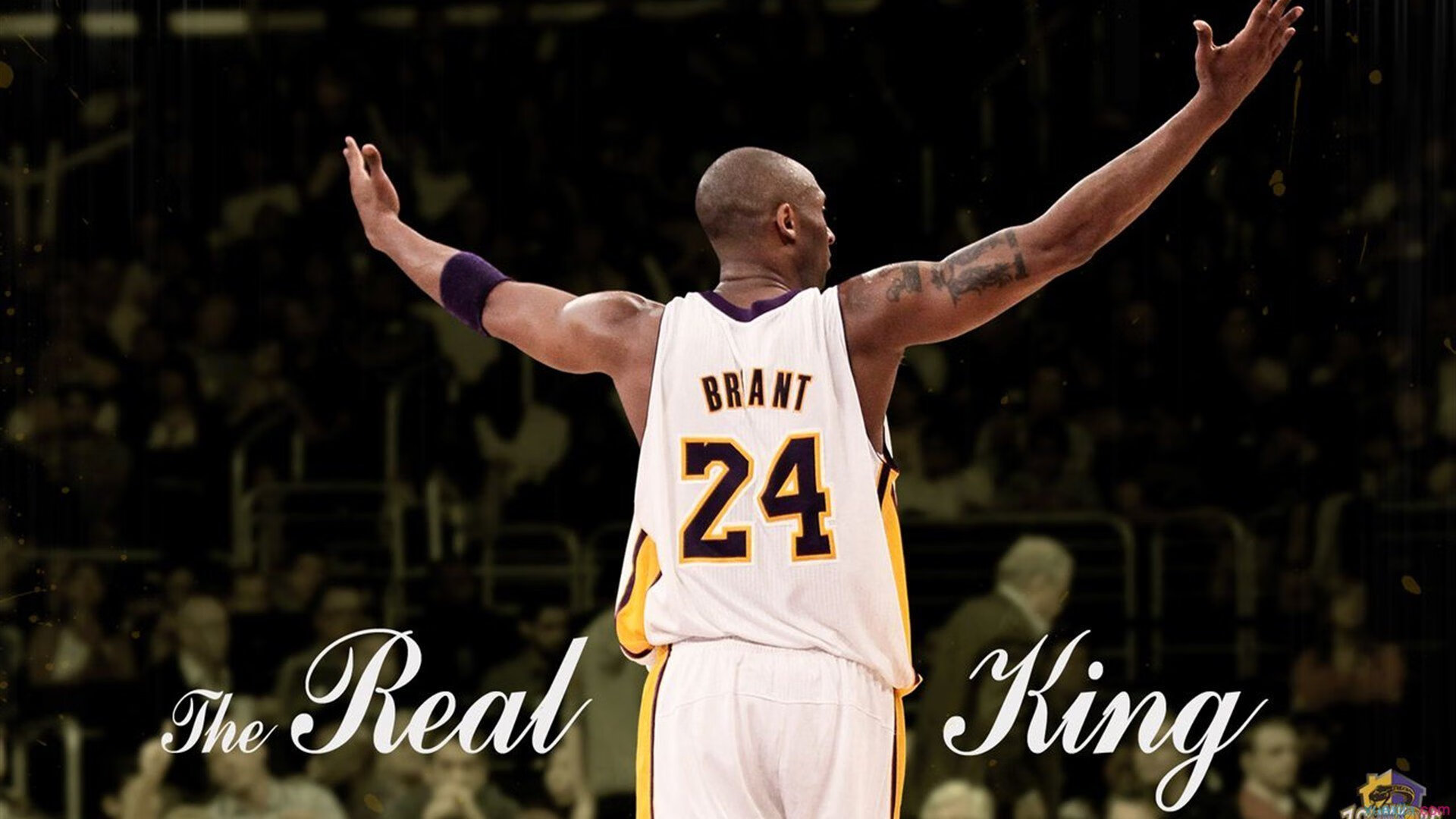 迪马利亚单节爆发如利刃出鞘，巴拉圭闪电战击溃伊朗防线